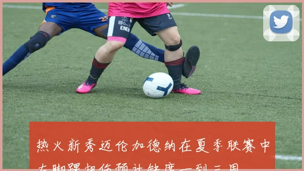 热火新秀迈伦加德纳在夏季联赛中左脚踝扭伤预计缺席一到三周