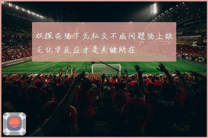 双探花场下无私交不成问题场上缺乏化学反应才是关键所在