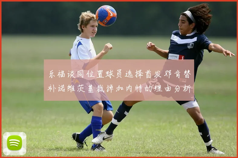 乐福谈同位置球员选择首发邓肯替补诺维茨基裁掉加内特的理由分析